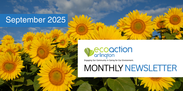 banner graphic with background of sunflowers for September 2025 EcoAction Arlington monthly newsletter