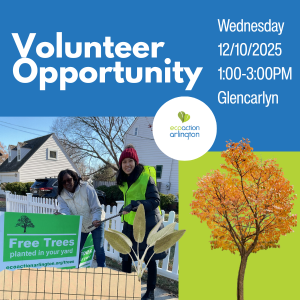 EcoAction Arlington planting Free Trees sign in ground, a tree in autumnal colors with blue and green background