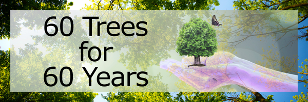 60 Trees for 60 Years: A small green tree with dense foliage growing from a purple hand-shaped pedestal, with a butterfly hovering in the air against a soft, blurry green background.