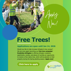 graphic with green and blue colors and photo f workers in yellow vests planting a tree advertising Free Trees with the EcoAction Arlington program