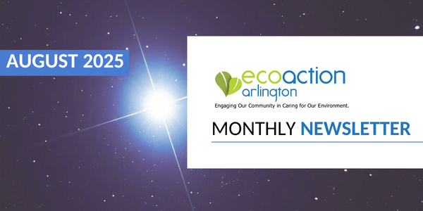 Newsletter banner August 2025 with dark sky and bright star