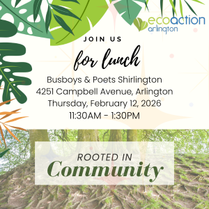tree roots spreading on ground: Join us for lunch, Busboys & poets Shirlington, 4251 Campbell Avenue, Arlington, Thursday, February 12, 2026, 11:30 am to 1:30 pm. Rooted in Community