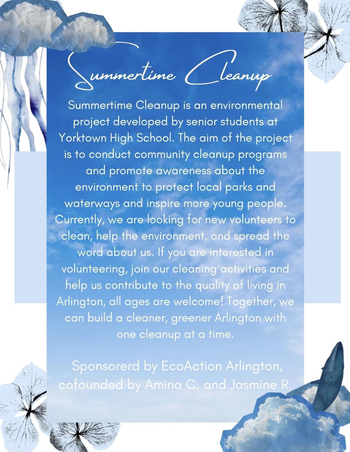 Summertime Cleanup flyer