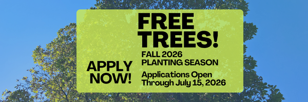 Free%20Trees%20email%20header%20600x200.png