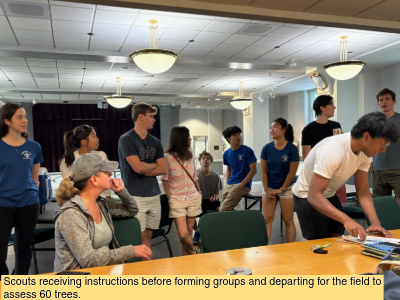 scouts sit and stand around a table receiving instructions before forming groups and departing for the field to assess 60 trees.