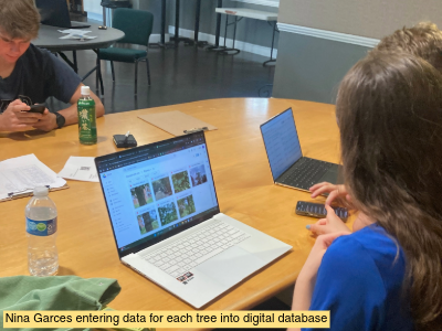Nina Garces entering data for each tree into digital database